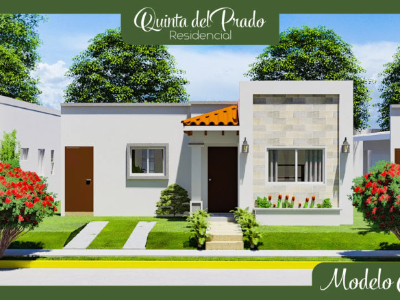 Modelo Quinta 99